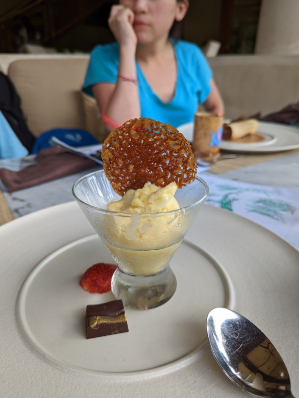 Mango Sorbet