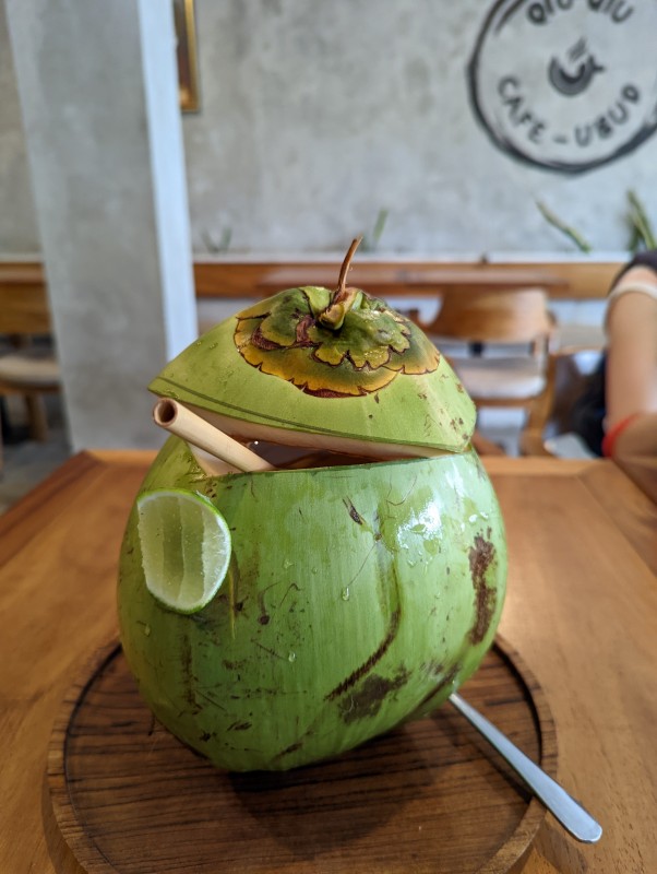 Young Coconut