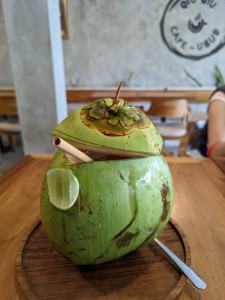 Young Coconut