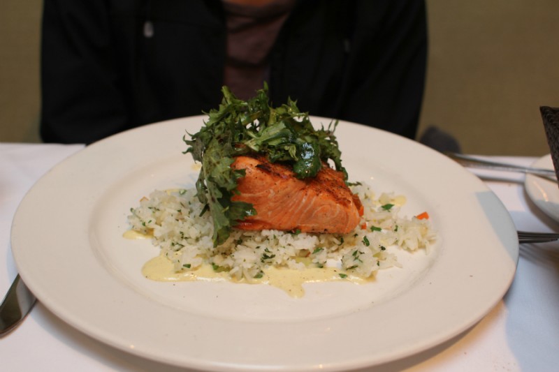 Salmon Fish of th...