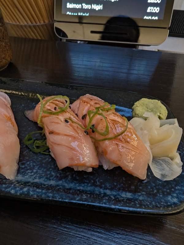 Salmon Toro